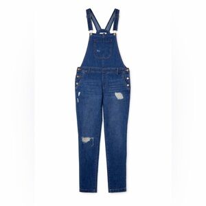 Forever 21 Blue Distressed Denim Overalls